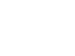 SIE Logo